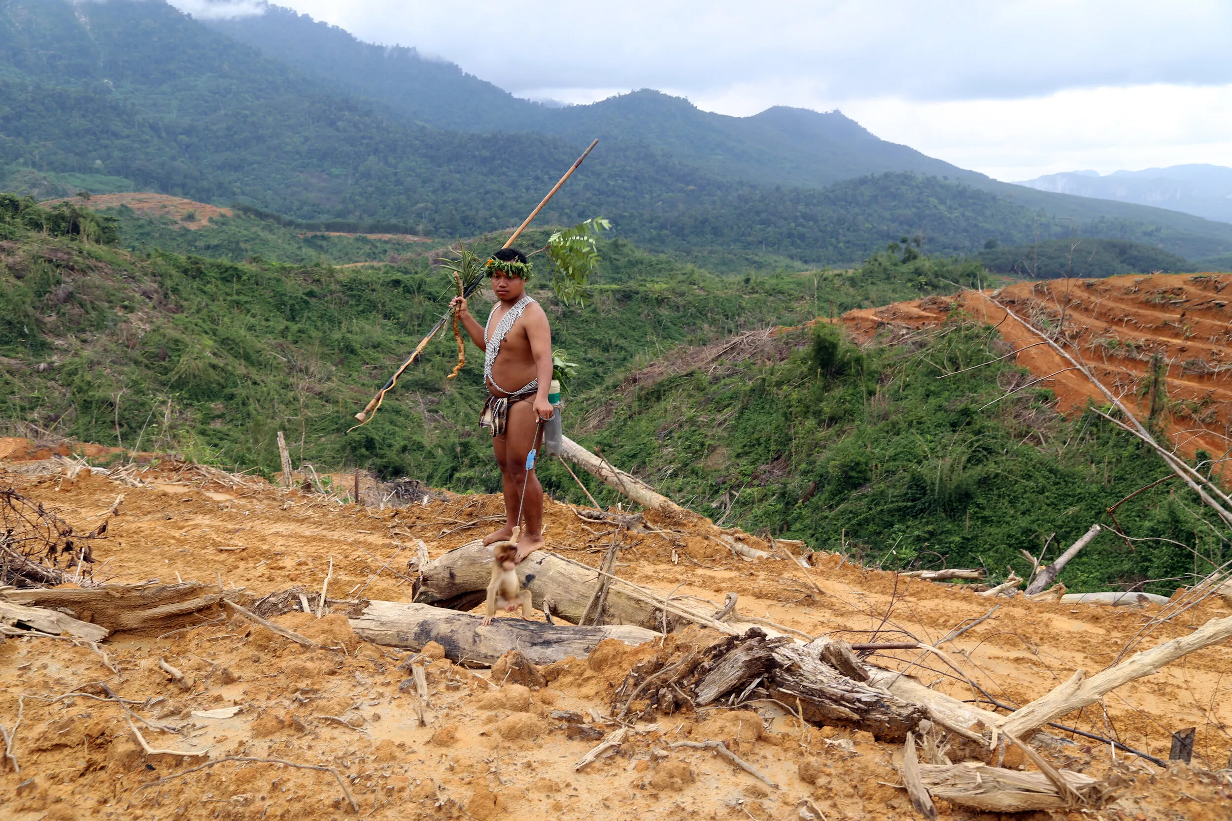The Curse of Palm Oil